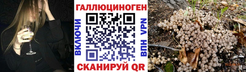 Псилоцибиновые грибы ЛСД  Грайворон 